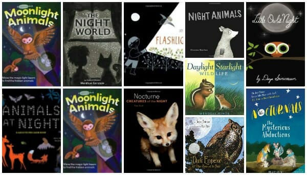 20 Best Books About Nocturnal Animals