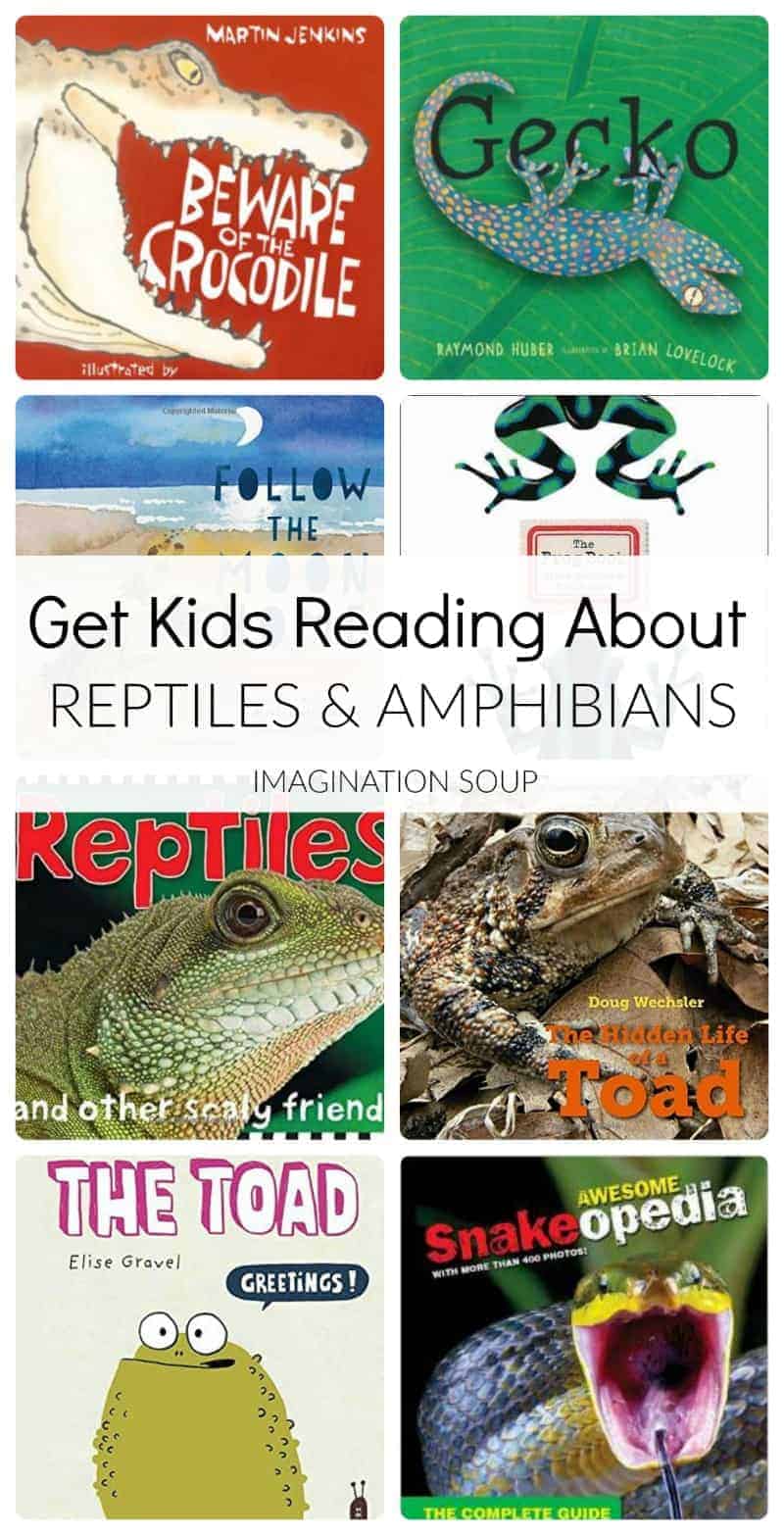 Picture Books About Reptiles and Amphibians